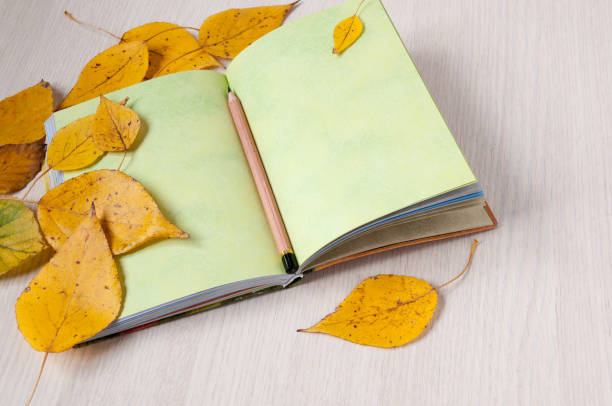 istock Open book on the table, pencil and autumn leaves 887130132