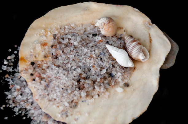 istock Sea salt and shallow seashells on a black background 887133242