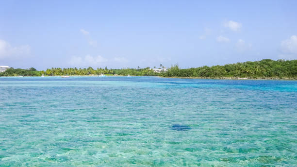 beautiful caribbean water - harbor island imagens e fotografias de stock