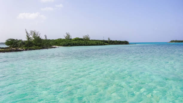 beautiful caribbean water - harbor island imagens e fotografias de stock