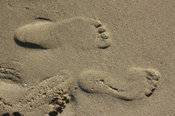 istock Footprints barefoot on the sand at low tide 887147970