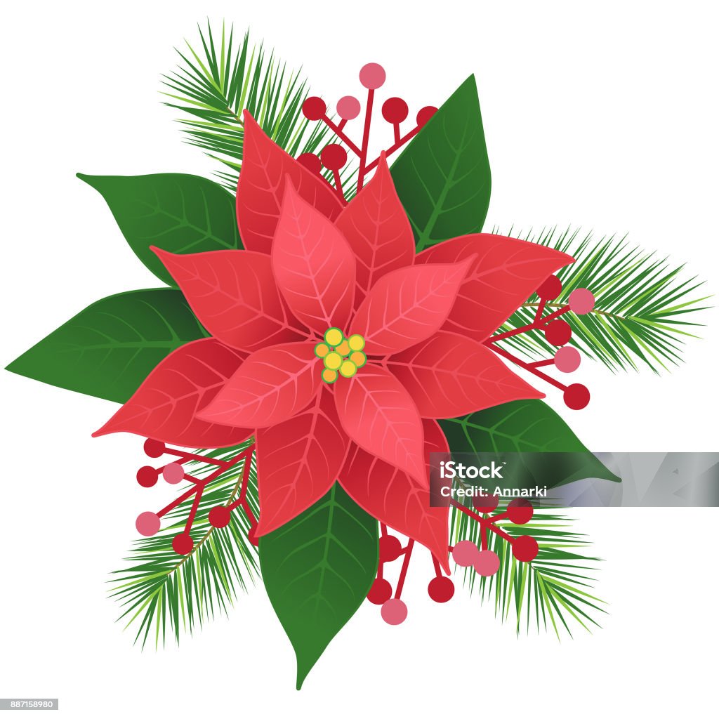 Ilustración de Flor De Nochebuena Flor Roja y más Vectores Libres de Derechos de Arreglo floral - Arreglo floral, Buqué, Cuadrado - Composición - iStock Ilustración de Flor De Nochebuena Flor Roja y más Vectores Libres de Derechos de Arreglo floral - Arreglo floral, Buqué, Cuadrado - Composición - iStock