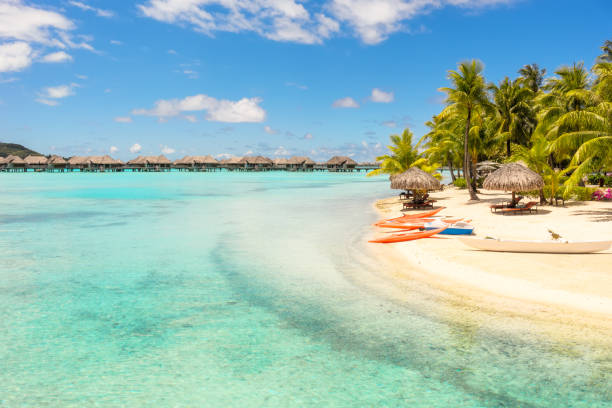 orange kayaks on white sand beach, bora bora, french polynesia, south pacific concept for relaxation, vacation, resort - south pacific ocean island polynesia tropical climate imagens e fotografias de stock