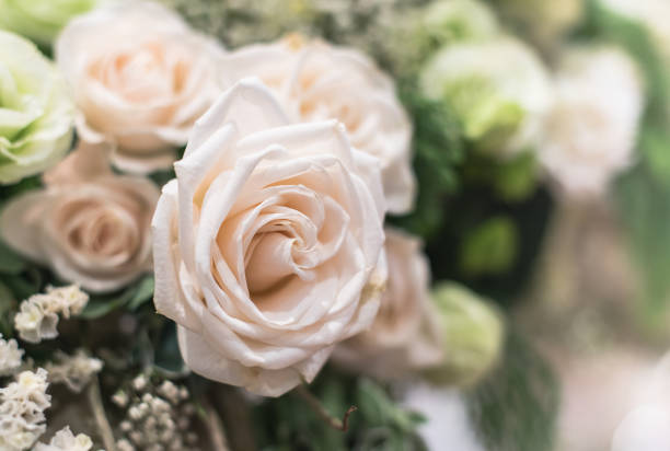 istock Beautiful roses background Bouquet roses in various colors 887159084