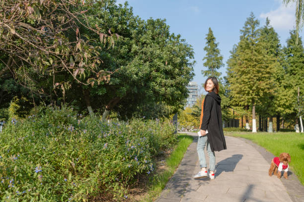 istock woman walking her dog in park 887178308