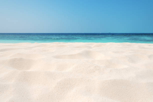 istock Sandy beach, sea and blue sky background 887183348