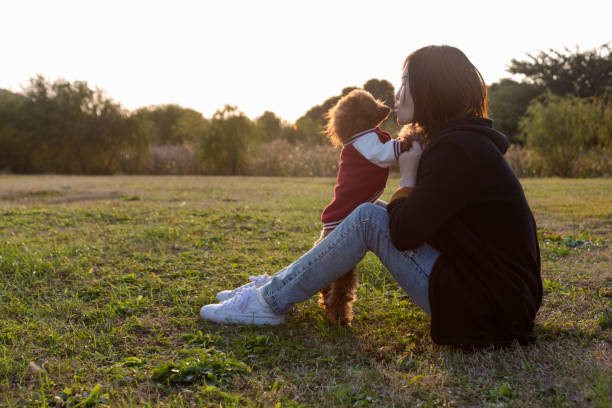 istock woman sitting on lawn playing with poodle 887183436