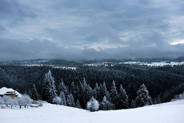 istock Beautiful winter landscape with snow covered trees 887185782