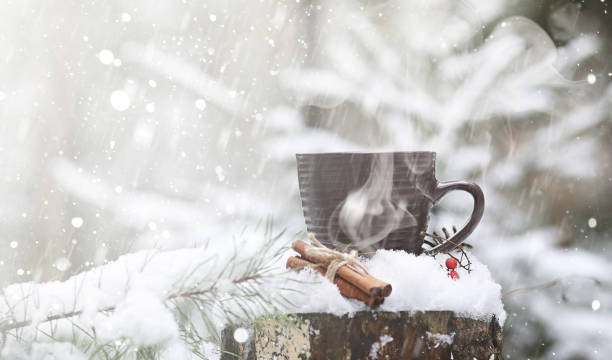 чашка с горячим напитком в зимнем лесу. горячее какао с цинн - coffee alcohol wine chocolate стоковые фото и изображения