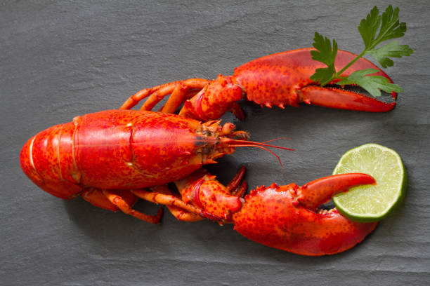 istock Red lobster with parsley and lime in claws on black stone fun seafood concept 887201912