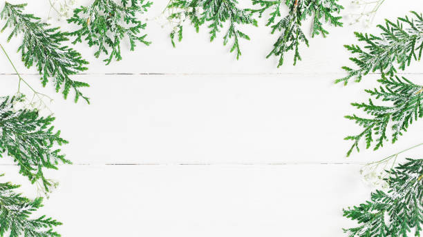 istock Christmas Thuja branches and gypsophila flowers. Flat lay, top view 887209022