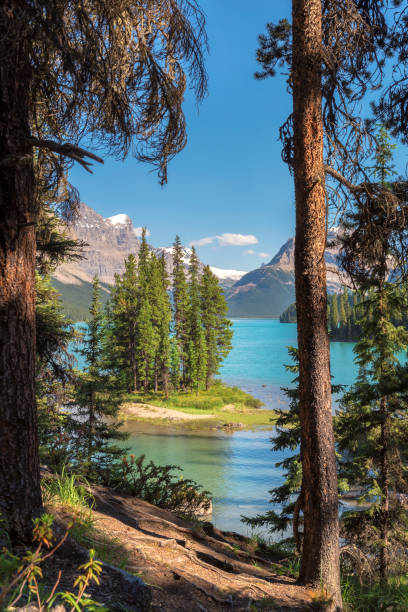 istock Spirit island from hiking trail 887209202