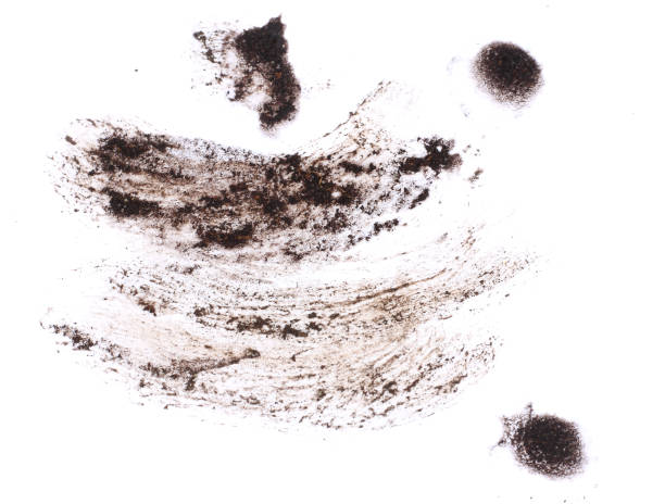 istock drops of mud sprayed isolated on white background, with clipping path 887216924
