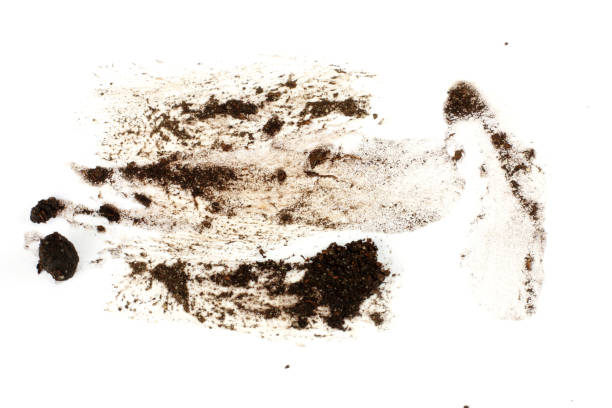 drops of mud sprayed isolated on white background, with clipping path