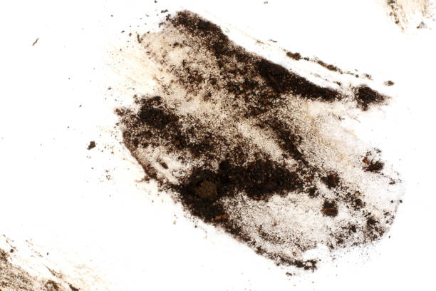 istock drops of mud sprayed isolated on white background, with clipping path 887216990