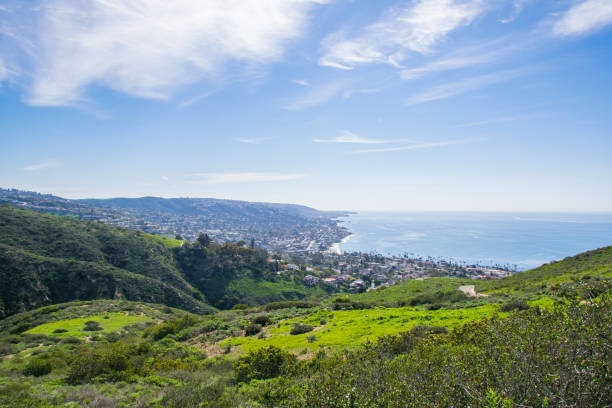 istock Beautiful Lush Laguna Beach, California 887217524
