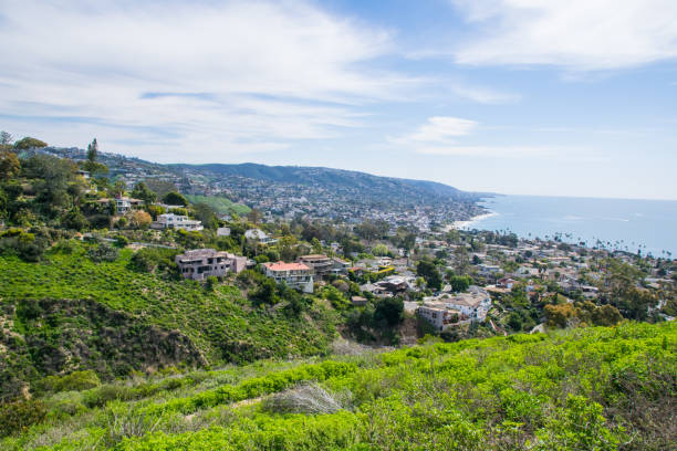 istock Beautiful Lush Laguna Beach, California 887224622