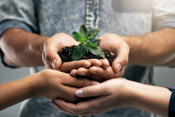 istock We all need to help each other grow 887224838