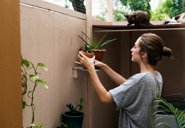 Woman at home with plants and cats