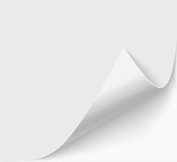istock Page curl with shadow on a blank sheet of paper, design element for advertising and promotional message isolated on white background. EPS 10 vector illustration 887236734