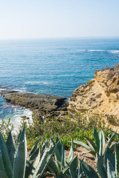 istock Beautiful Laguna Beach, Southern California 887238974