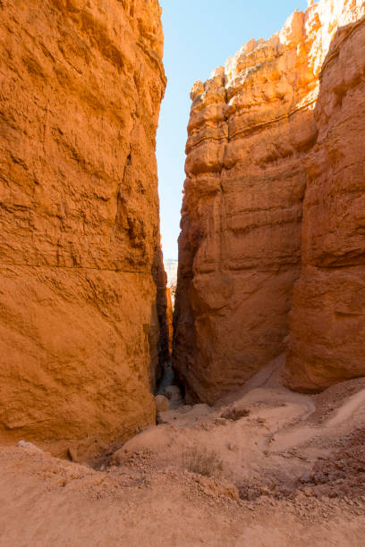 istock Wall Street, Bryce Canyon National Park 887239792