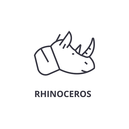 rhinoceros line icon, outline sign, linear symbol, flat vector illustration