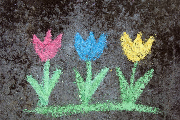 istock chalk drawing on asphalt: colorful tulips 887246422