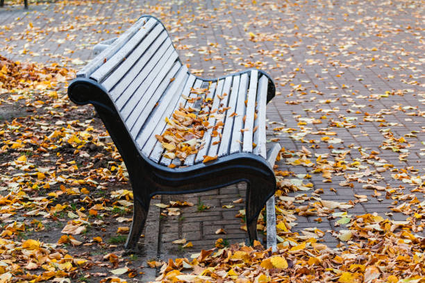 istock bench in the autumn park 887247186