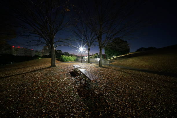 istock Wet leaves in the park in Tokyo 887249622