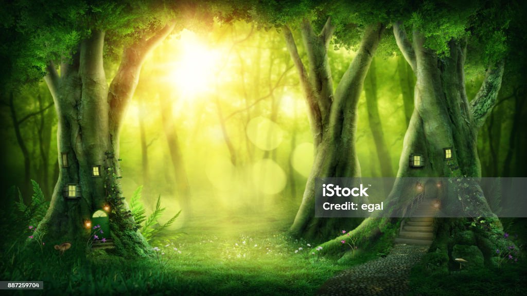 Dark magic forest Dark magic forest with sunshine Forest Stock Photo