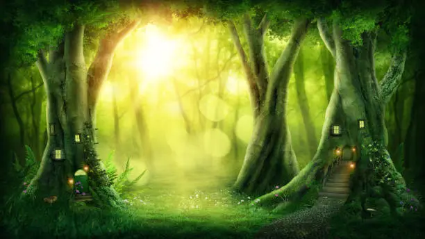 Dark magic forest with sunshine