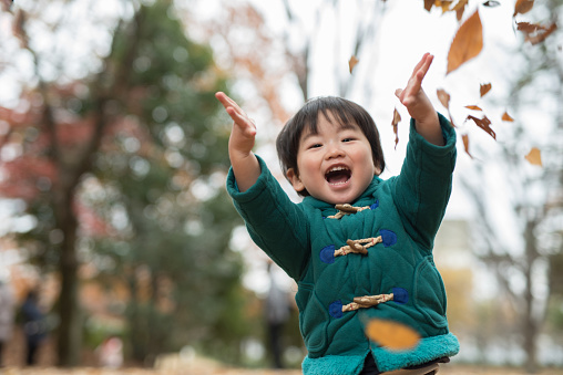 A child is in the beautiful autumn leaves field in Tokyo, Japan, photographed naturally without heavy processing.