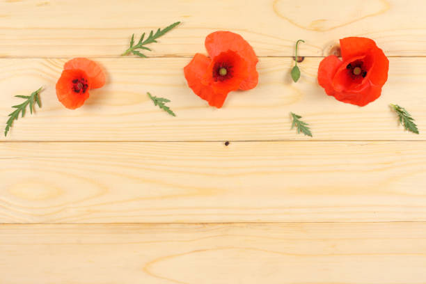 istock red poppy flowers on light wood background. top view with copy space 887267676