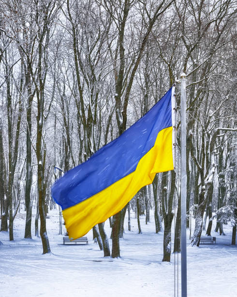 istock Ukraine Flag with winter landscape 887281602
