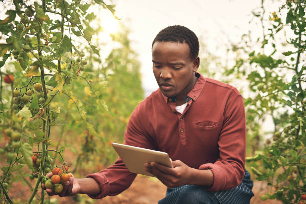 sus cultivos con tecnología de seguimiento - africa farmer african descent agriculture fotografías e imágenes de stock