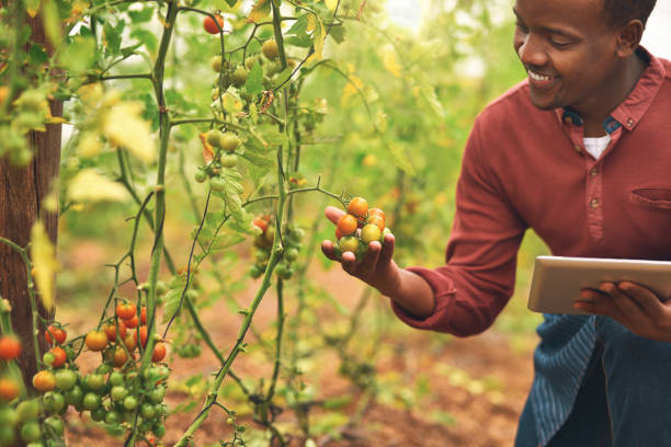 istock Technology has changed the face of farming 887287116