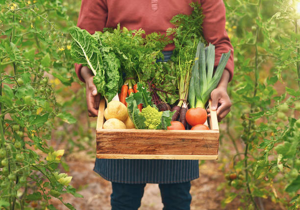 istock Harvesting only the best 887287184