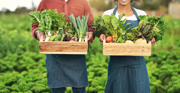istock Take what you need and leave the rest to nature 887287240
