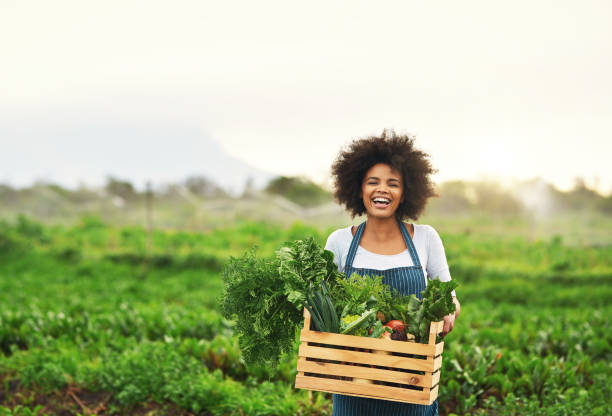 Mother nature provides Cropped portrait of an attractive young female farmer carrying a crate of fresh produce freshness stock pictures, royalty-free photos & images