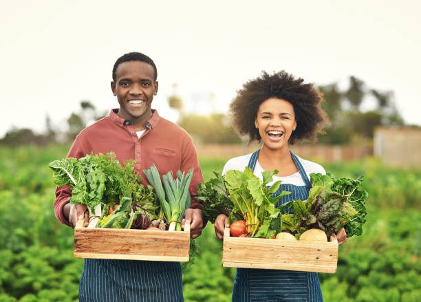istock We grow our own vegetables 887287270