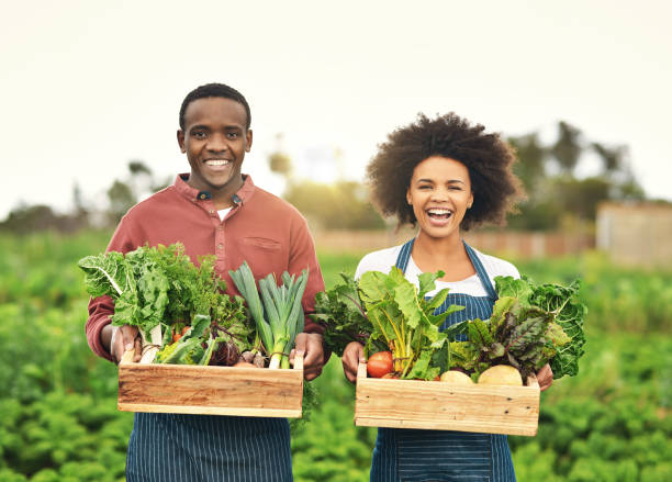 We grow our own vegetables Cropped portrait of a young farm couple carrying crates of fresh produce the farmer and his wife pictures stock pictures, royalty-free photos & images