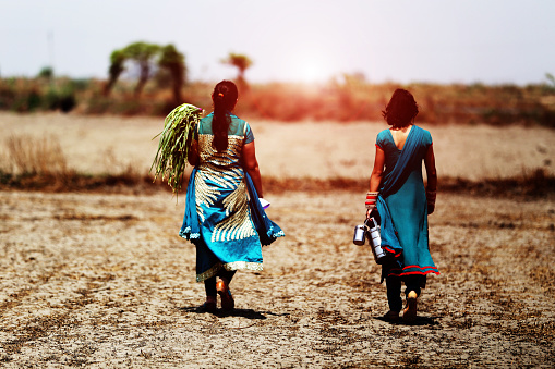 Two woman carrying food tiffin and vegetable going to home from the farm.