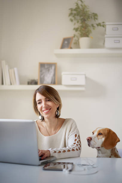 istock Woman sitting in home office wit her dog 887291326