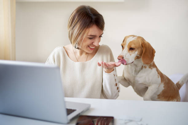 Woman sitting in home office wit her dog