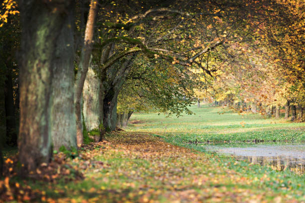 istock Autumn in the park 887294718