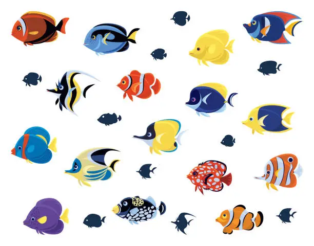 Vector illustration of group of tropical fishes