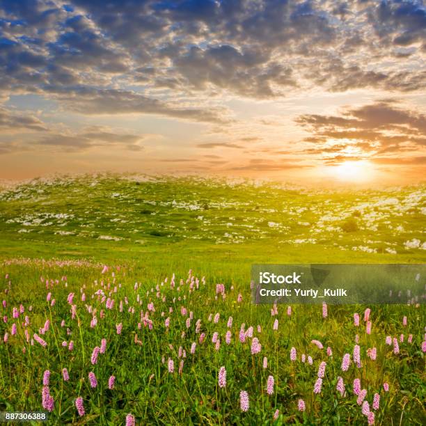 Beautiful Mountain Prairie At The Sunset Stock Photo - Download Image Now - Prairie, Agricultural Field, At The Edge Of