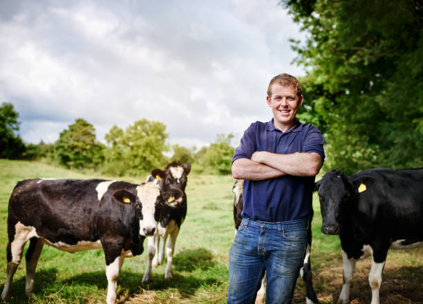 Home is where my cows are Portrait of a male farmer standing with his arms folded on his dairy farm Farmer stock pictures, royalty-free photos & images