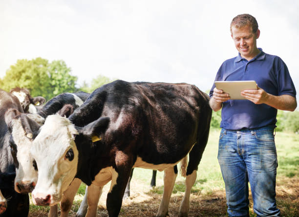 istock Farm management made easier with mobile apps 887310760